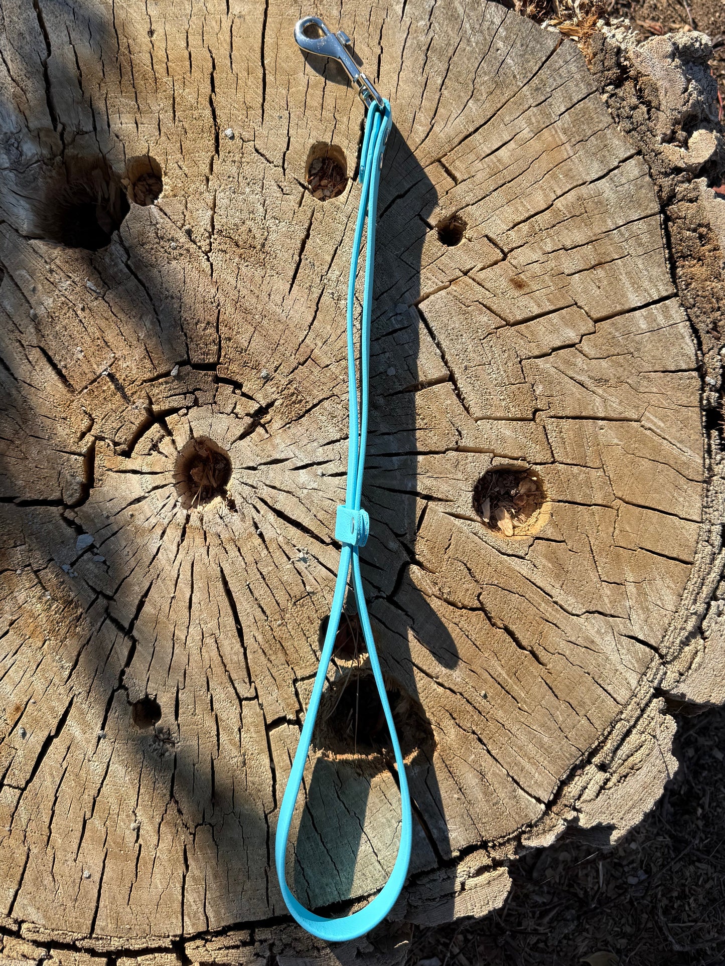 🐾 Biothane® Groomer’s Loop – Secure, Durable & Professional 🐾