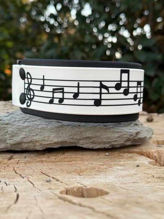 Music Notes Biothane® Dog Collar | 2" Layered Waterproof