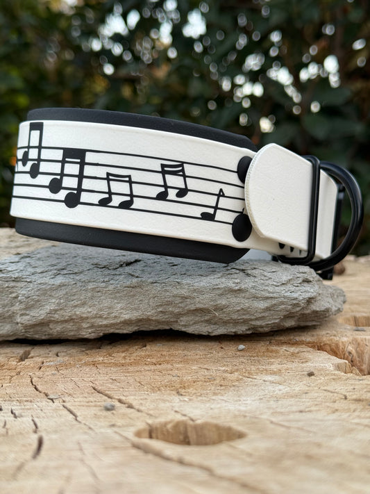 Music Notes Biothane® Dog Collar | 2" Layered Waterproof