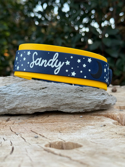Fully Custom Vinyl Biothane® Collar