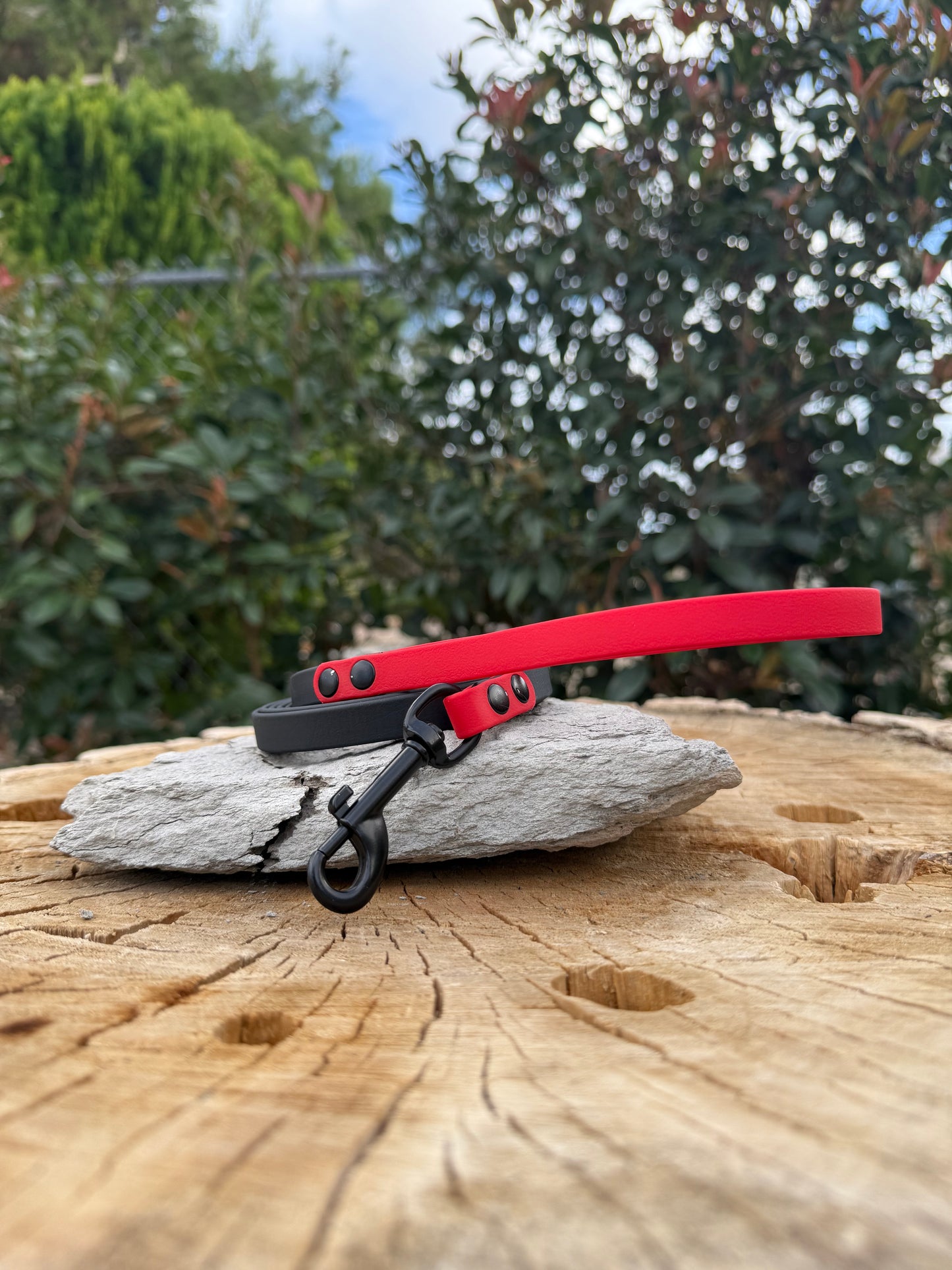 1/2" Biothane® Dog Leash | Waterproof Training Lead