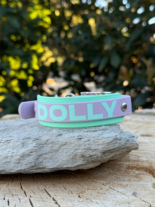 Custom Two-Tone Biothane® Dog Collar | 3/4" Over 1" Double-Layer Waterproof Collar