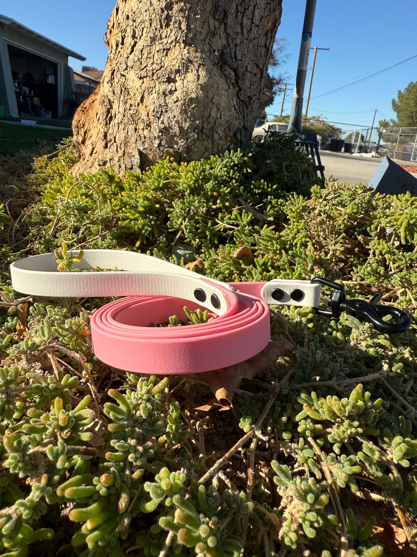5/8" Biothane® Dog Leash | Waterproof Training Lead