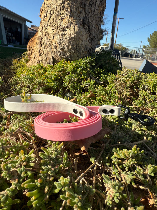 5/8" Biothane® Dog Leash | Waterproof Training Lead