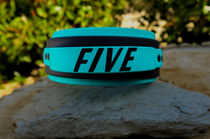 2" Custom Biothane® Handle Dog Collar | Personalized