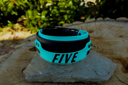 2" Custom Biothane® Handle Dog Collar | Personalized