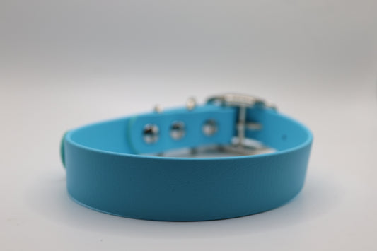 Blue dog collar with metal buckle on a light gray background