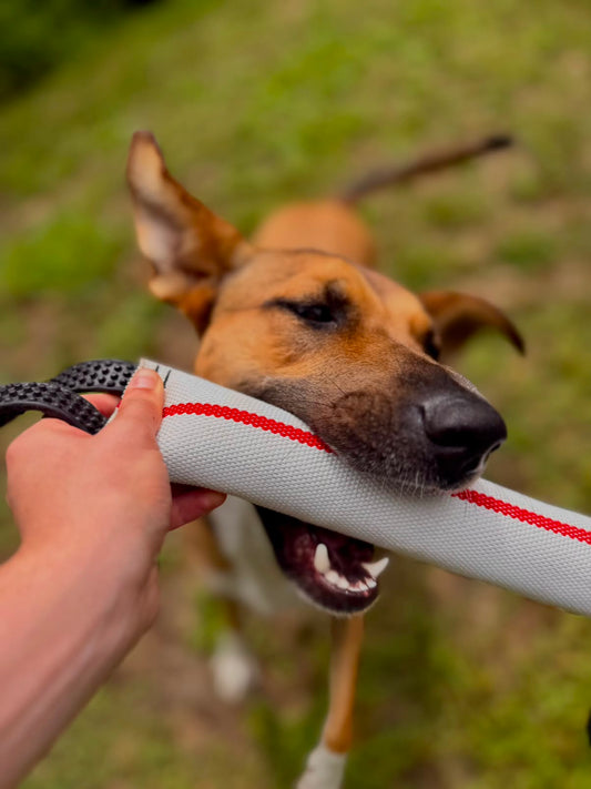 Fire Hose Dog Tug | Heavy-Duty K9 Training Toy