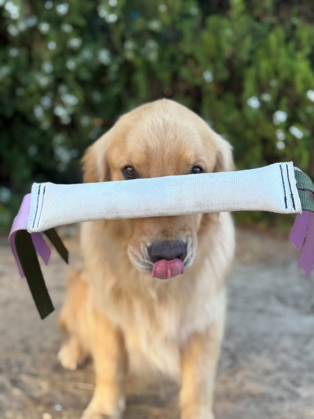 Fire Hose Dog Tug | Heavy-Duty K9 Training Toy