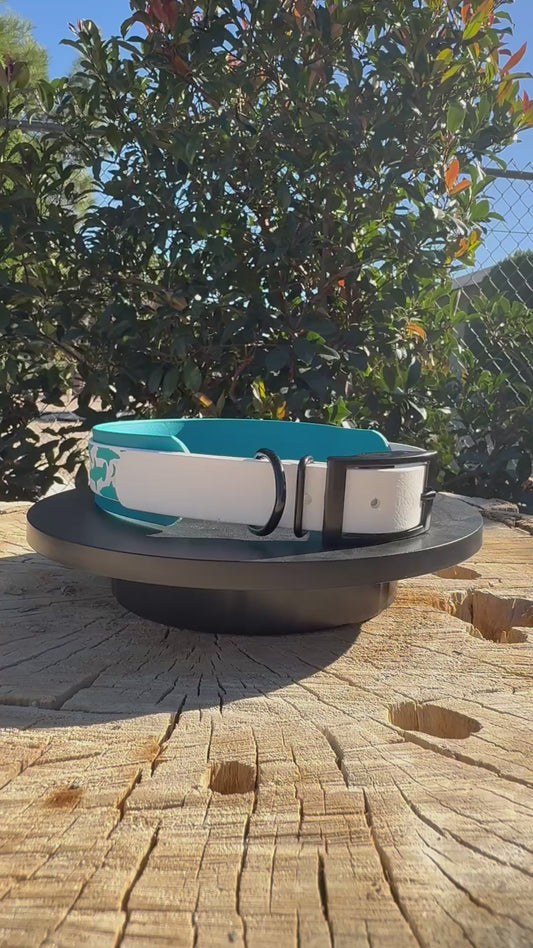 Shark Biothane® Dog Collar | 1" Over 1.5" Waterproof
