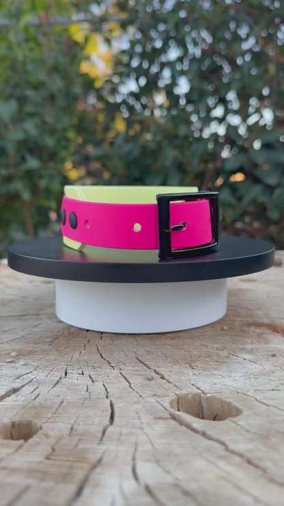 1.5" Spooky "Breast Cancer Awareness Collar"