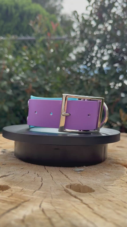 Unicorn Biothane® Dog Collar | 2" Layered Waterproof