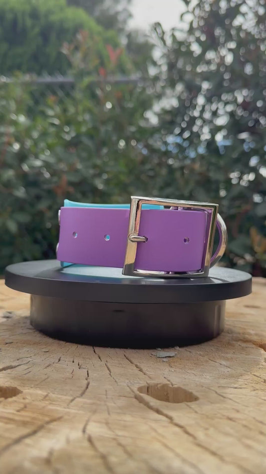 Unicorn Biothane® Dog Collar | 2" Layered Waterproof
