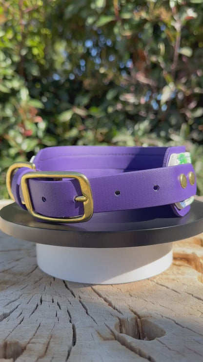 Violet Clover Bloom UV Printed Biothane® Dog Collar