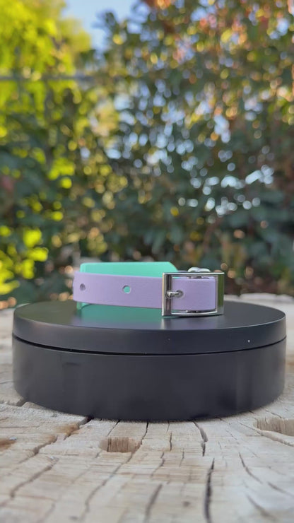 Custom Two-Tone Biothane® Dog Collar | 3/4" Over 1" Double-Layer Waterproof Collar