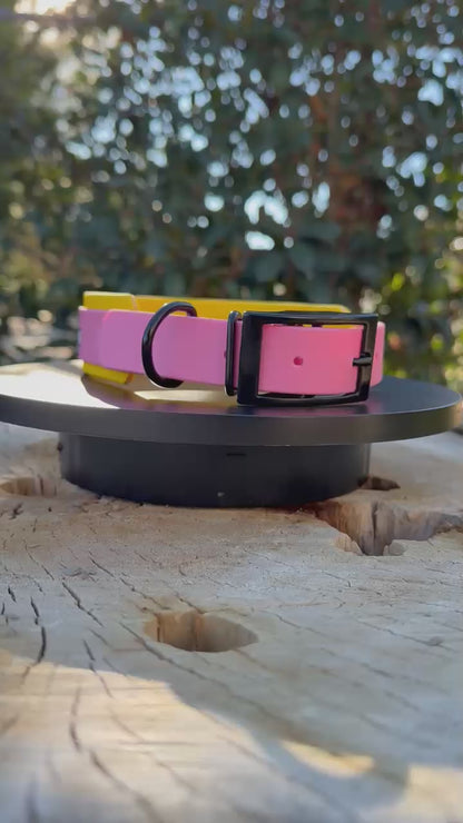 Buzz Off Biothane® Dog Collar | 1.5" Layered Waterproof